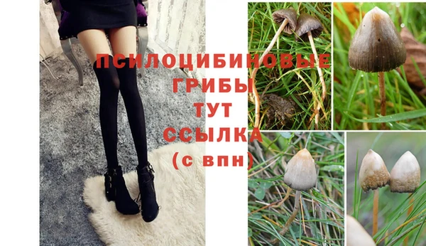 прущие крисы Белоозёрский