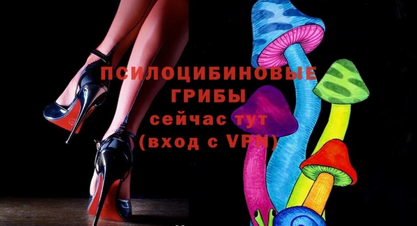 гашик Белокуриха