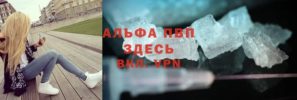 гашик Белокуриха