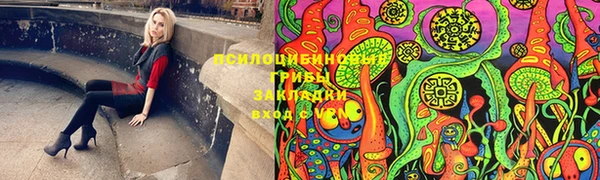 гашик Белокуриха